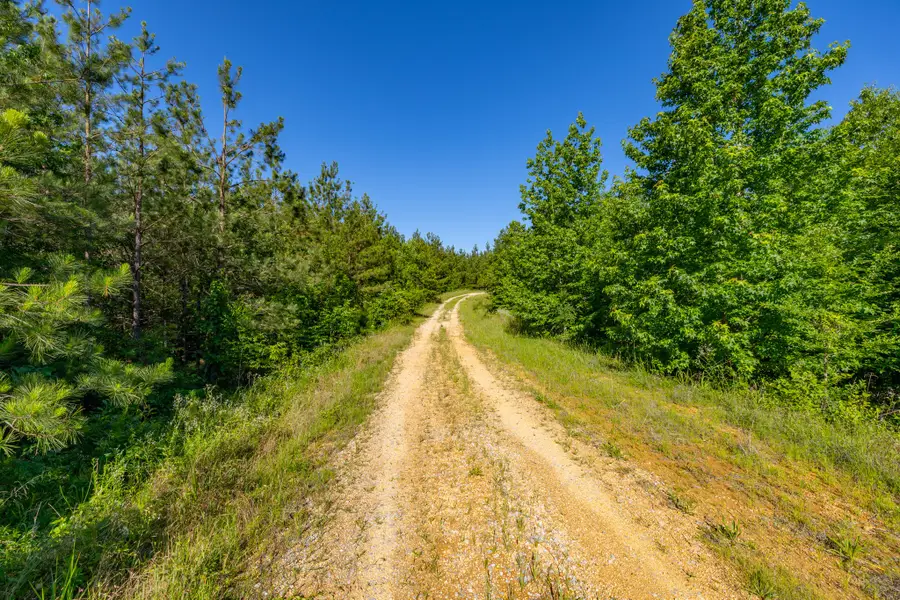 0 White Oak Rd, Stewart, TN 37175 - #3