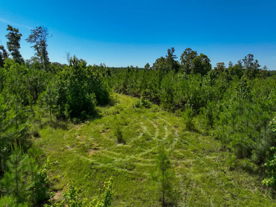 0 White Oak Rd, Stewart, TN 37175 - #2