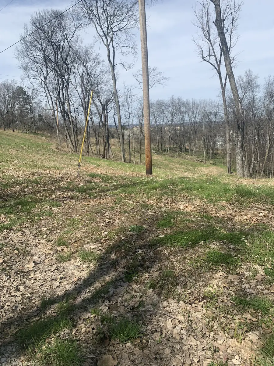 17 Alpine Dr, Columbia, TN 38401 - #3