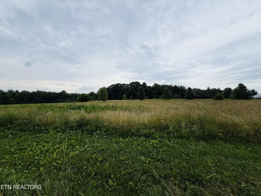 98 Tyler Tr, Jamestown, TN 38556 - #2
