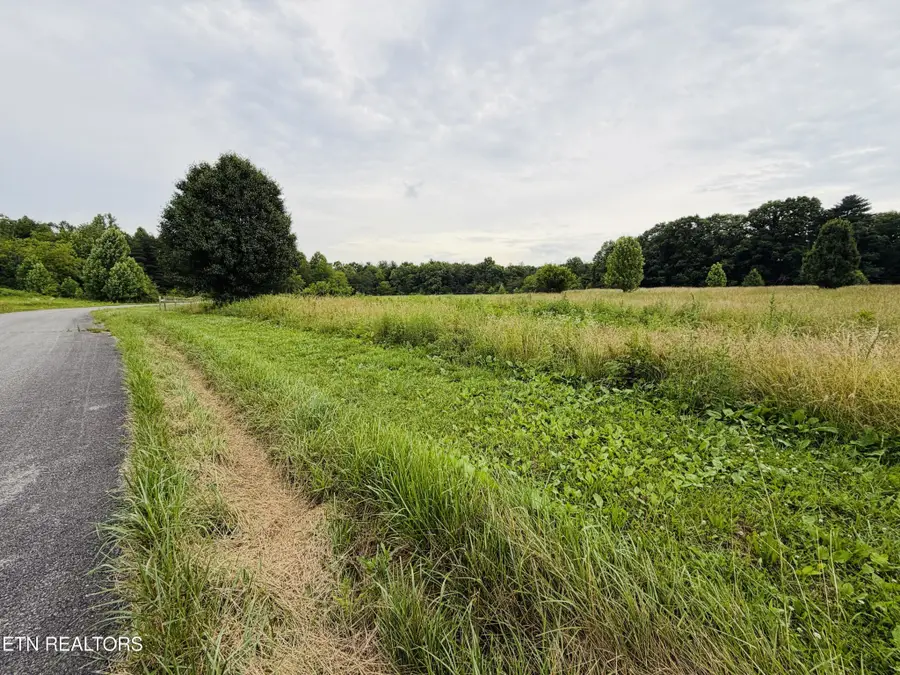 98 Tyler Tr, Jamestown, TN 38556 - #3