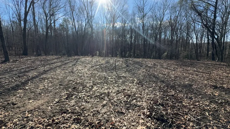 637 Flat Branch Rd, Tracy City, TN 37387 - #2