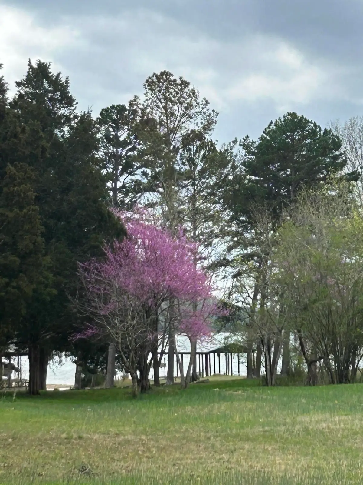0 Pin Hook Road, Spring City, TN 37381 - #1