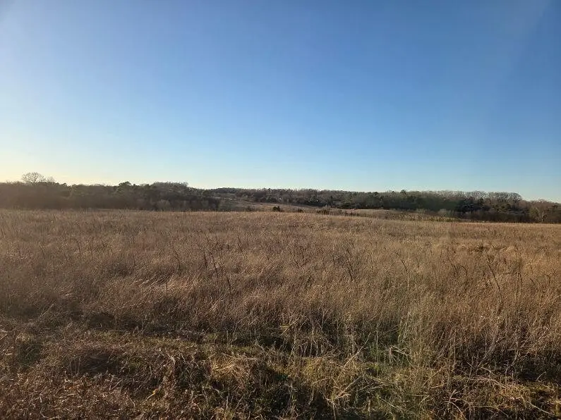 3 Stone Road, Benton, TN 37307 - #1