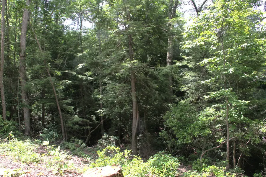 0 Meadow Dr, Spencer, TN 38585 - #3