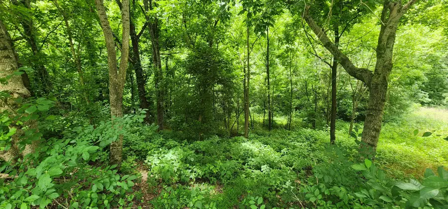 0 Highbridge Dr, Smithville, TN 37166 - #2