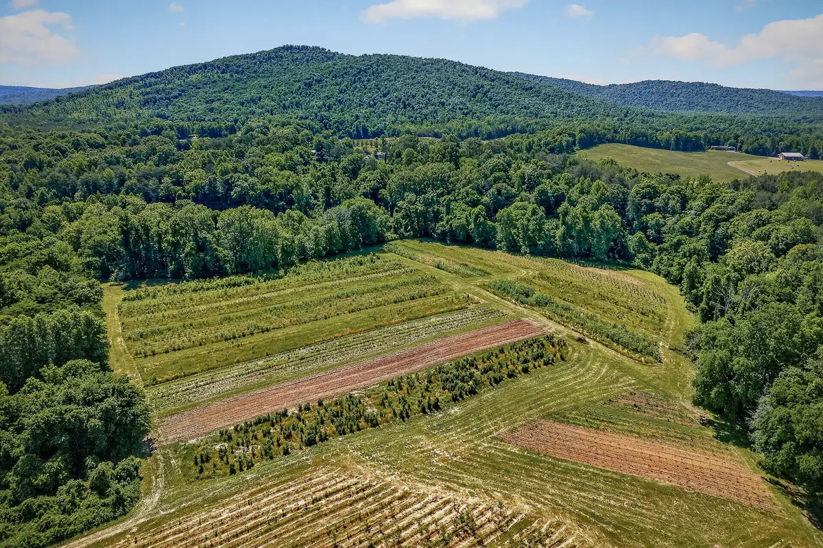 3 Hills Creek Rd, McMinnville, TN 37110 - #1