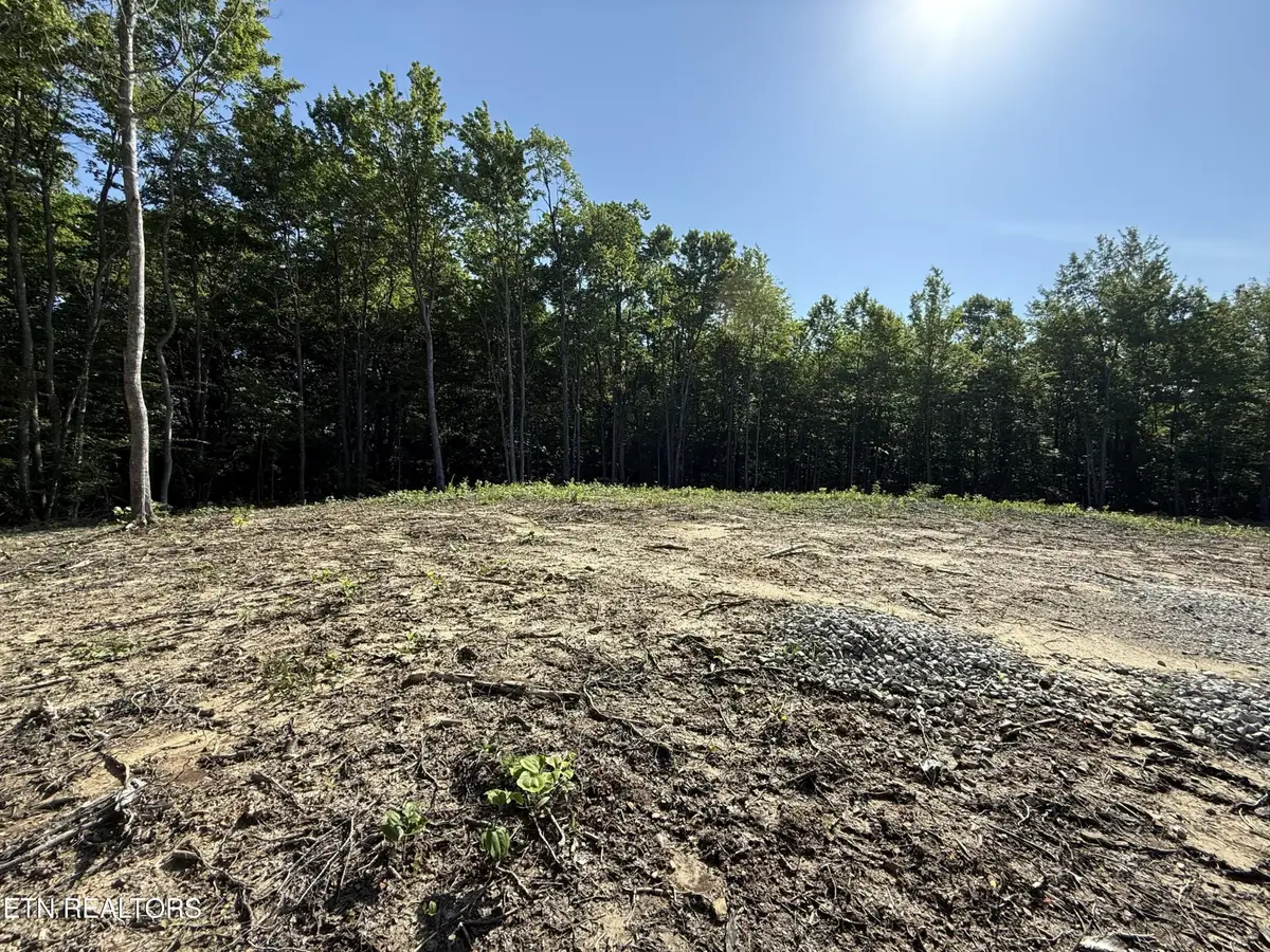969 Lewallen Rd, Sunbright, TN 37872 - #1