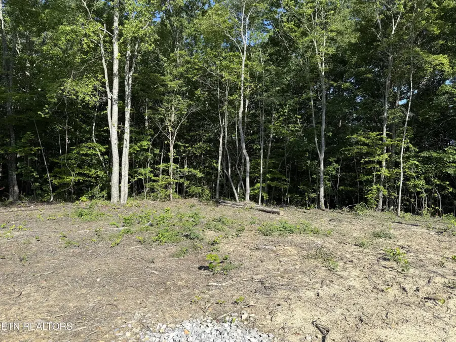 969 Lewallen Rd, Sunbright, TN 37872 - #2