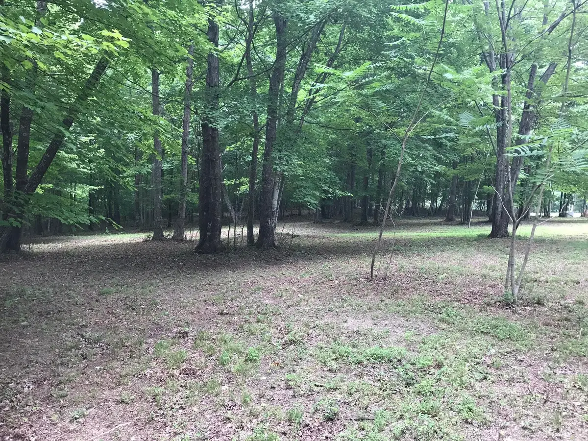 503 Wilderness Way, Dunlap, TN 37327 - #1