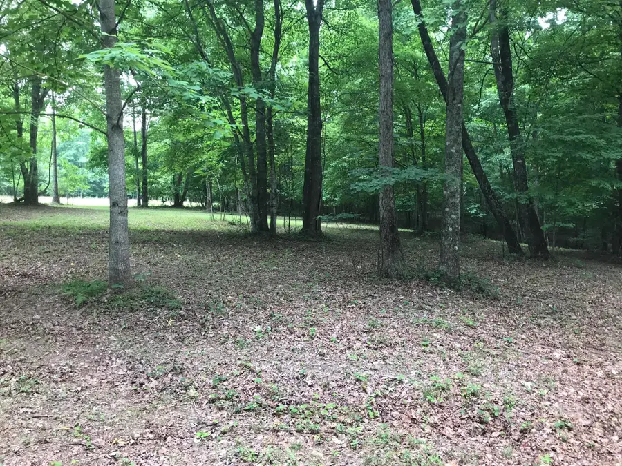 503 Wilderness Way, Dunlap, TN 37327 - #2