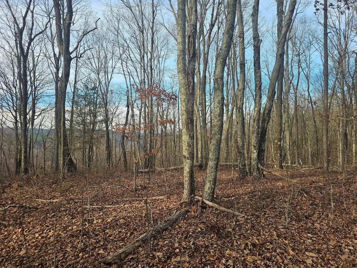 29003 Smith Mountain, Dunlap, TN 37327 - #1