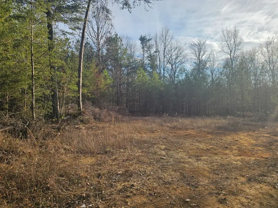 29003 Smith Mountain, Dunlap, TN 37327 - #3