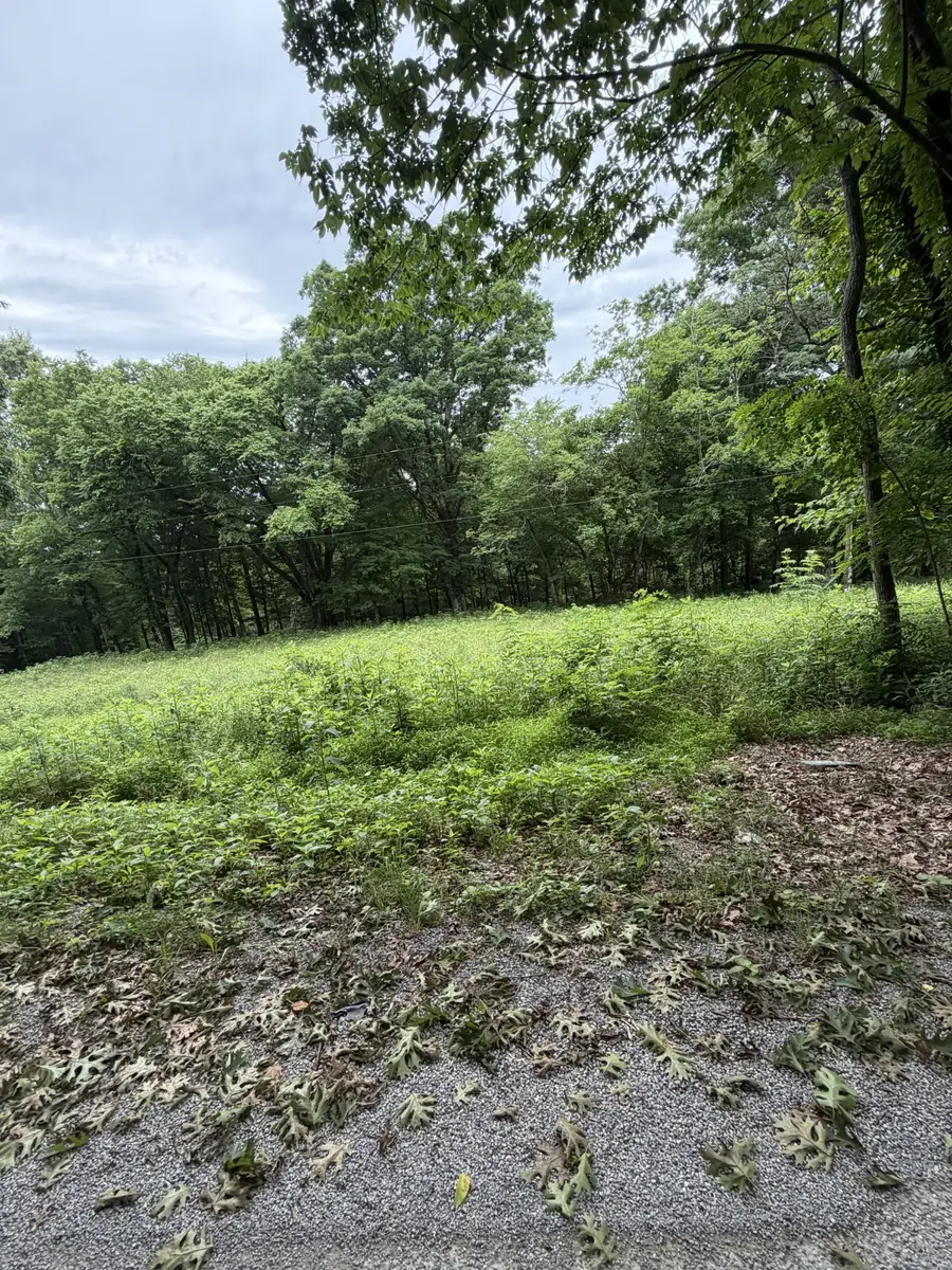 1299 Dixon Town Rd, Prospect, TN 38477 - #2