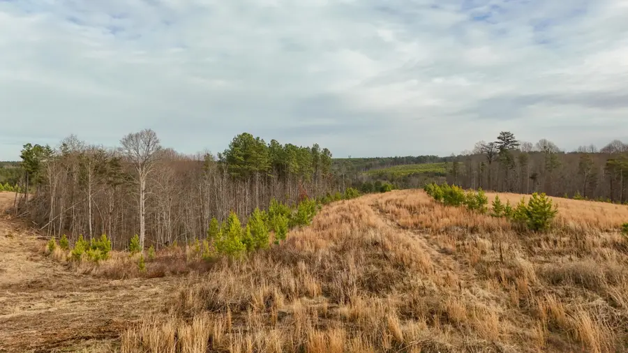 0 State Rt 399 Lot 13, Dunlap, TN 37327 - #2