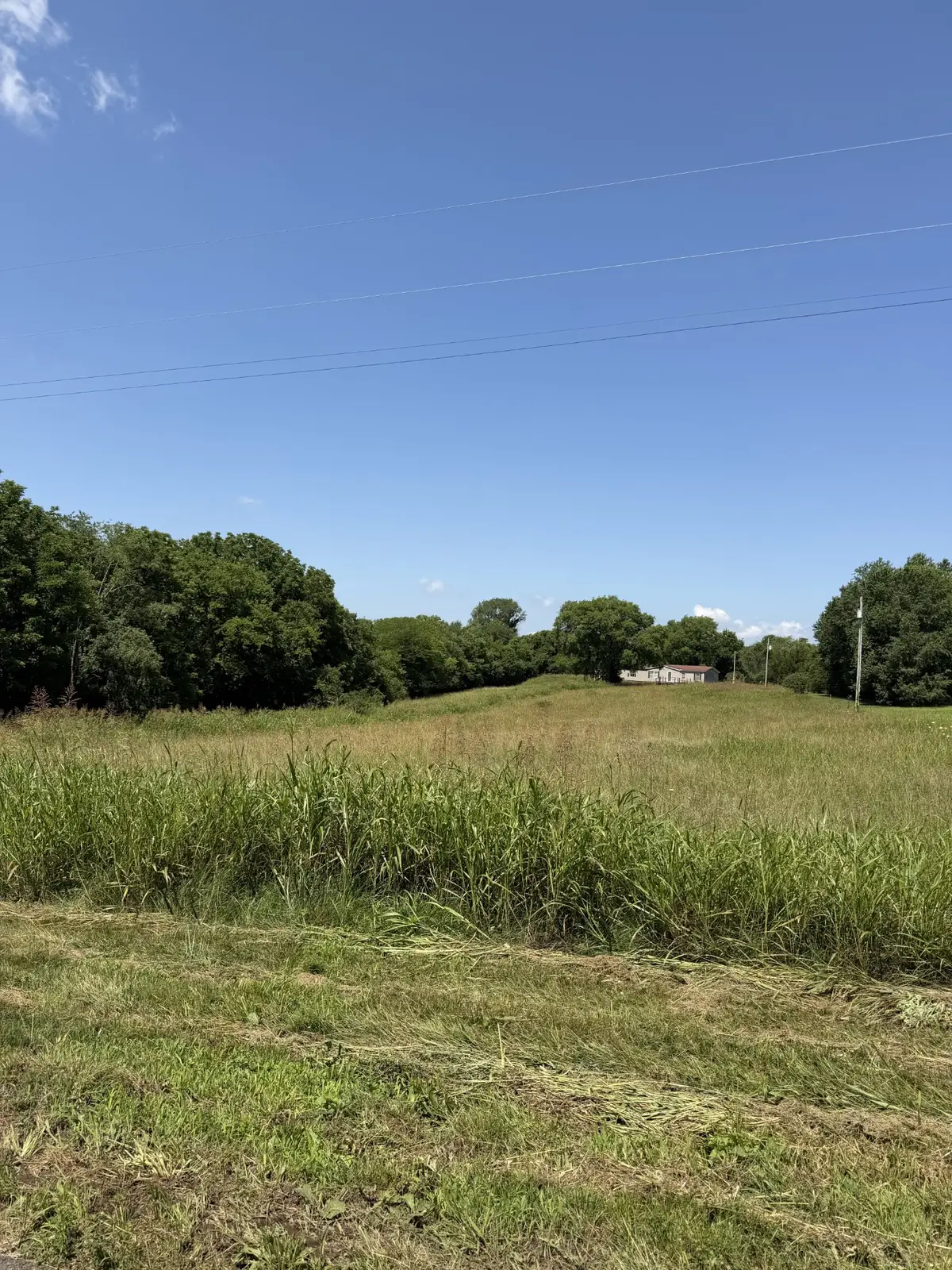 1211 Littleton Ranch Rd, Castalian Springs, TN 37031 - #1