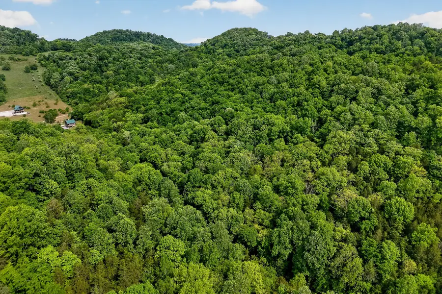 4830 Ensor Hollow Rd, Buffalo Valley, TN 38548 - #3