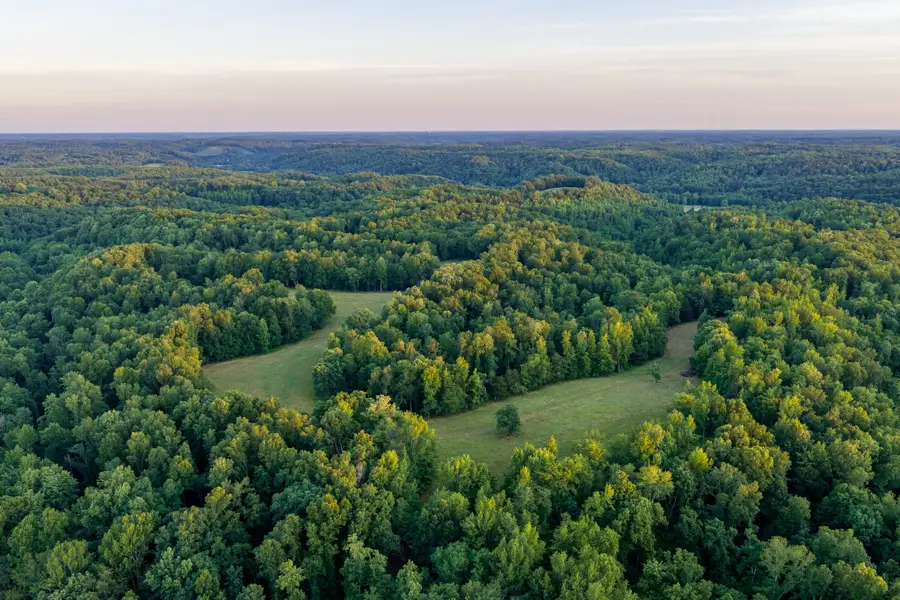 2073 Dog Branch Rd, Prospect, TN 38477 - #2
