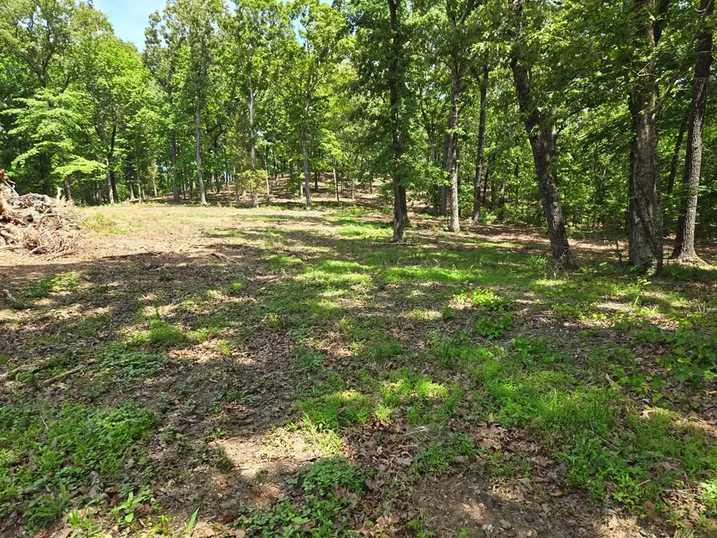 730 Swan Bay Dr, Buchanan, TN 38222 - #1