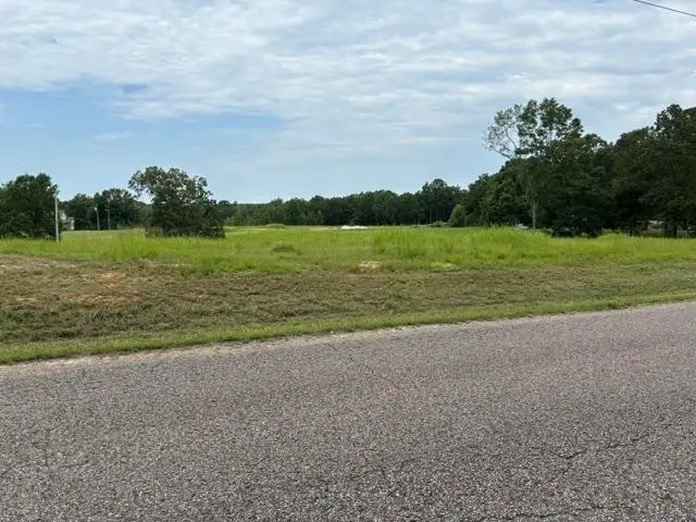 0 Purdy Beauty Hill Rd, Bethel Springs, TN 38315 - #2