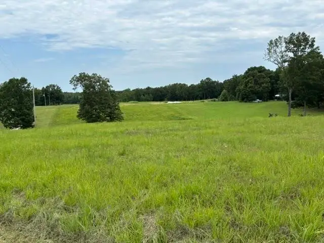 0 Purdy Beauty Hill Rd, Bethel Springs, TN 38315 - #3