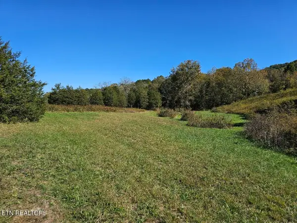 0 Shoreline Vista, Sharps Chapel, TN 37866