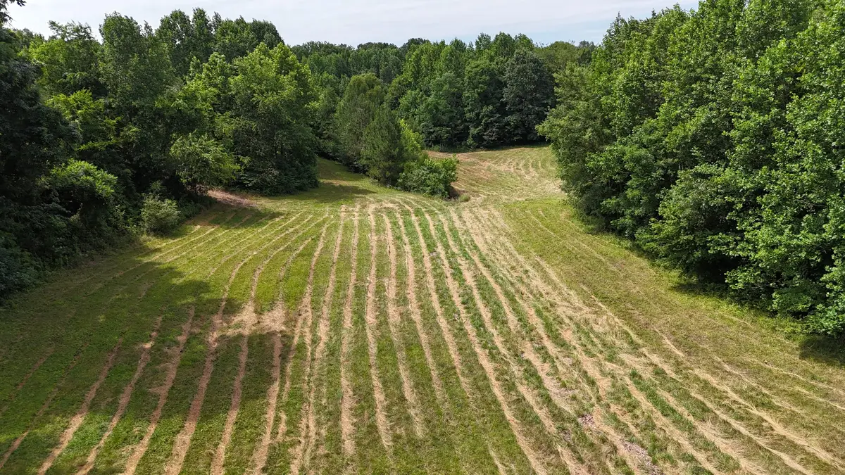 0 Sulphur Creek Road, Big Sandy, TN 38221 - #1