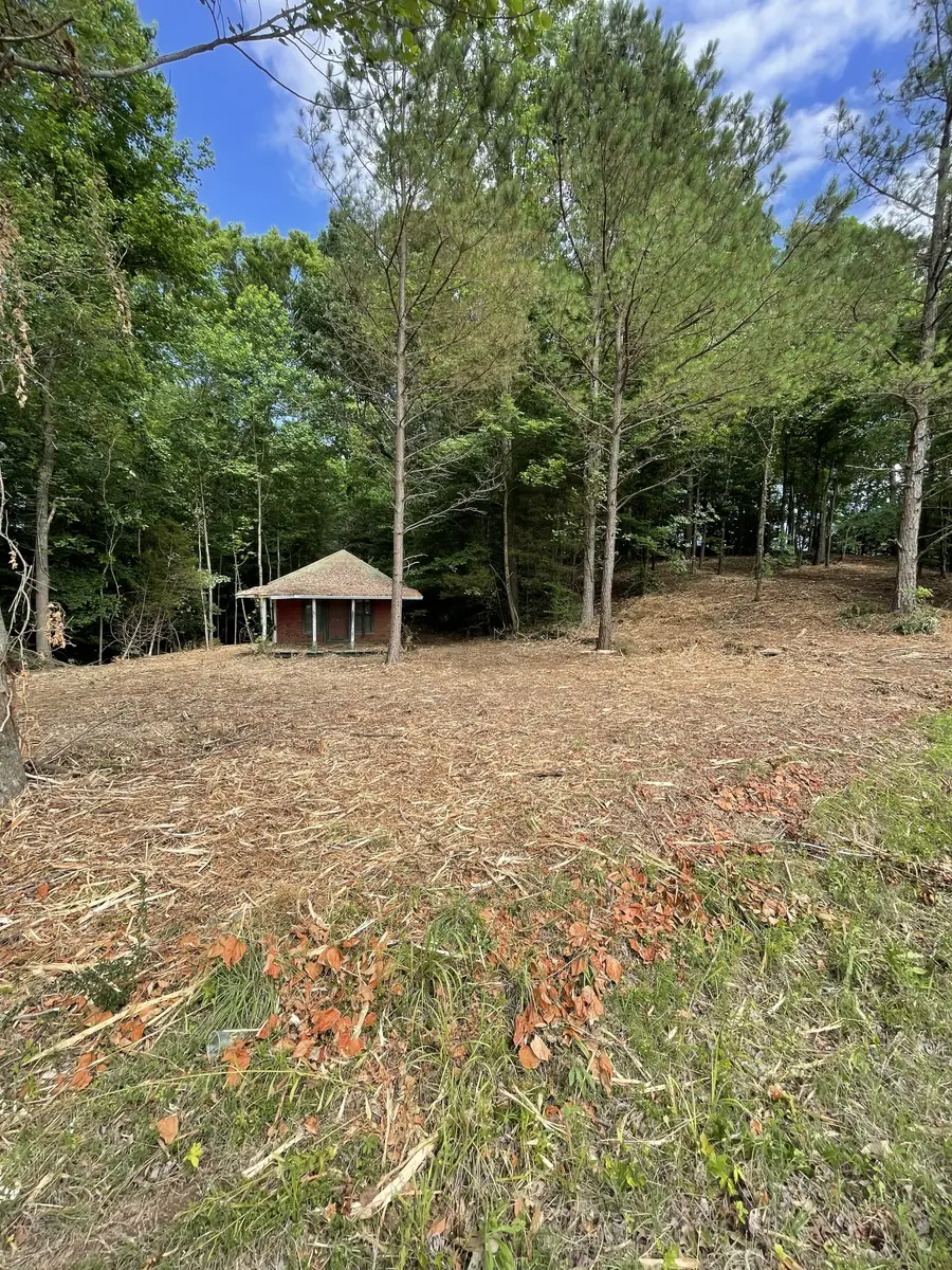 0 Sulphur Creek Road, Big Sandy, TN 38221 - #2