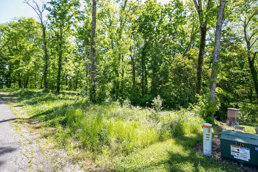 500 Maury Ln, Smithville, TN 37166 - #3