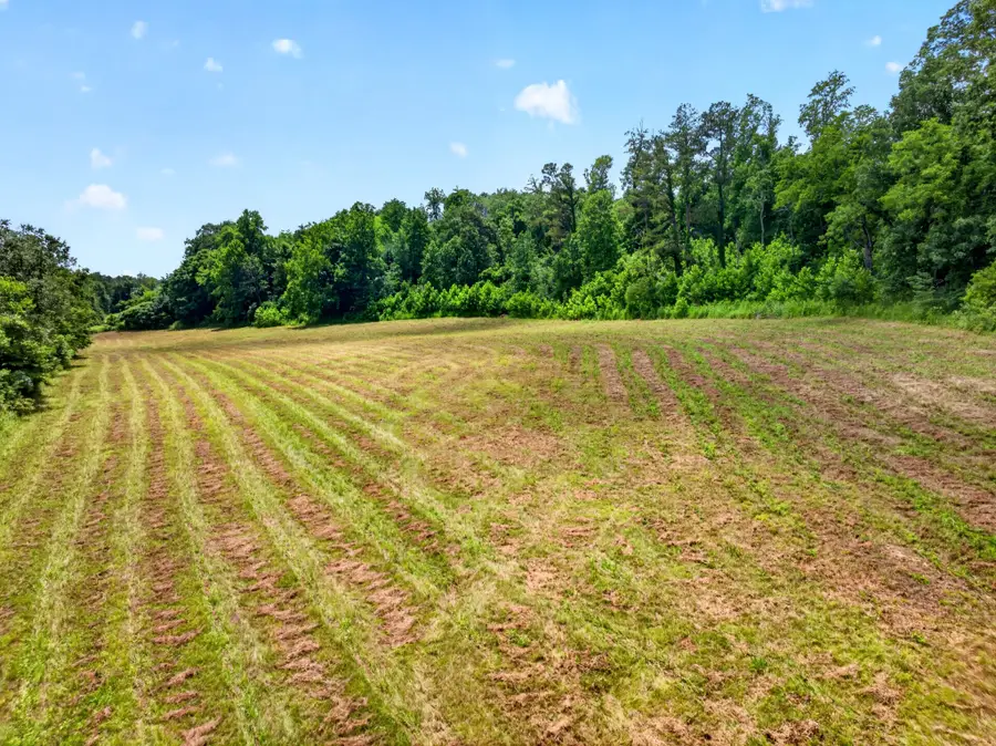 0 Ellis Mills Rd, Erin, TN 37061 - #3