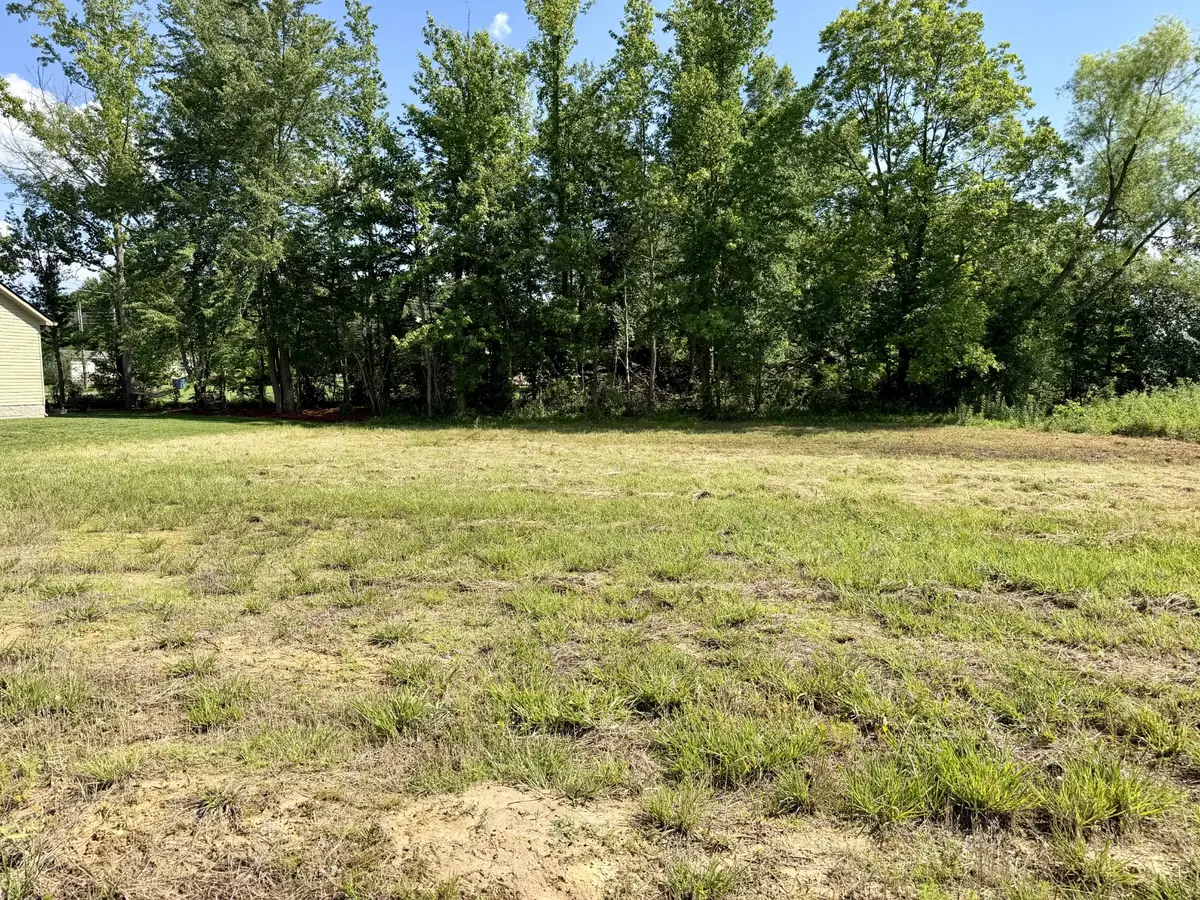 116 Regan Loop, Baxter, TN 38544 - #1