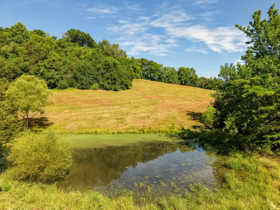 0 P Davis Rd, Auburntown, TN 37016 - #2