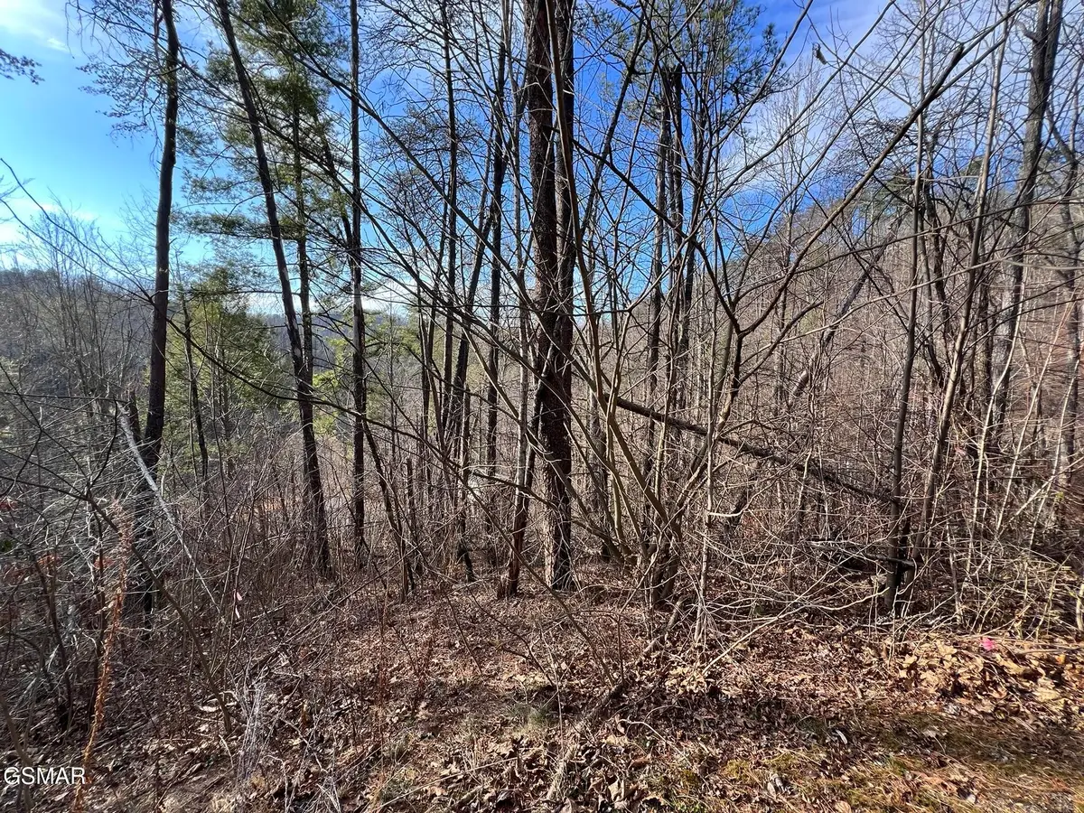 2331 Willow Lane, Sevierville, TN 37862 - #1