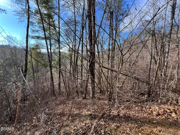 2331 Willow Lane, Sevierville, TN 37862