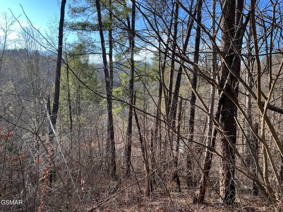 2331 Willow Lane, Sevierville, TN 37862 - #2