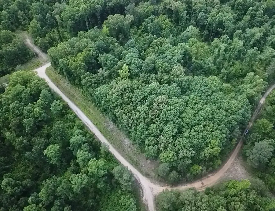 94 Beaver Ln, Saulsbury, TN 38067 - #2