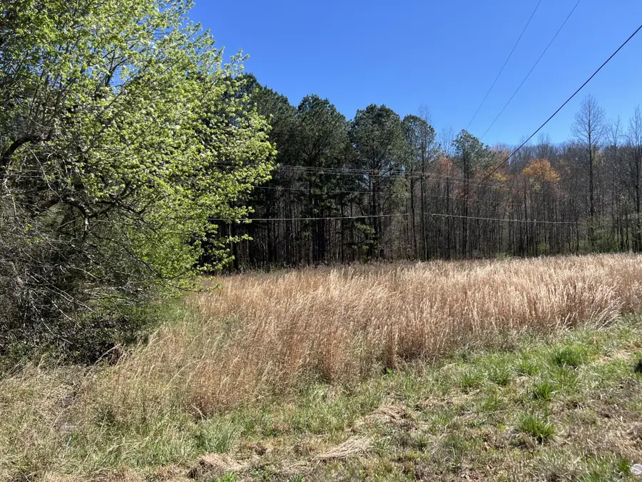 0 Utility Southwest Road, Rocky Face, GA 30740 - #2