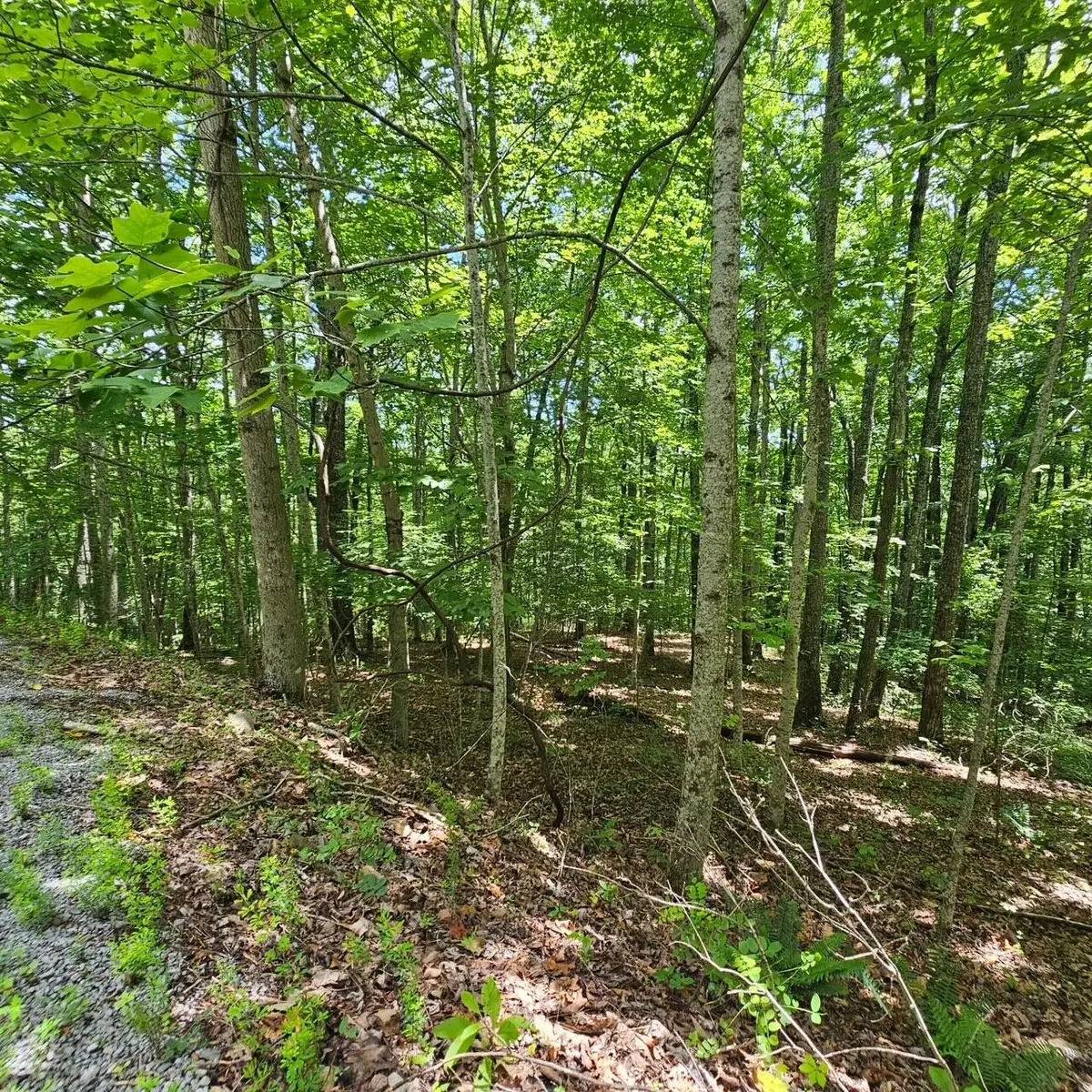 555 Oak Leaf Lane, Dunlap, TN 37327 - #1