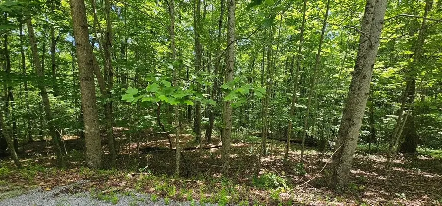 555 Oak Leaf Lane, Dunlap, TN 37327 - #2