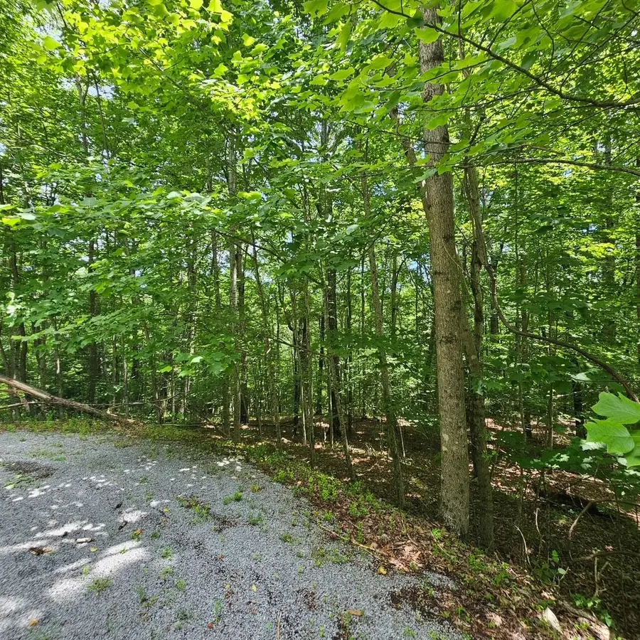 555 Oak Leaf Lane, Dunlap, TN 37327 - #3