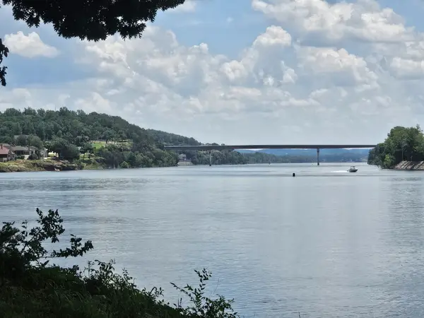 5 Island View Dr, Bath Springs, TN 38311