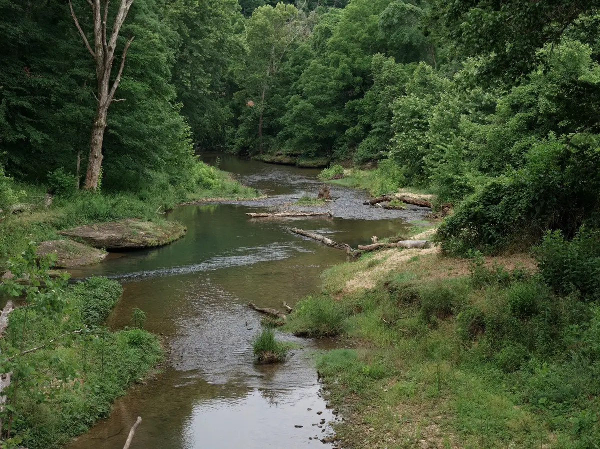 5490 Old Mill Creek Rd, Nunnelly, TN 37137 - #1