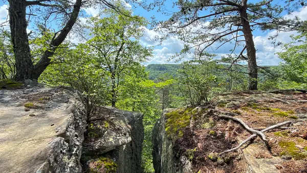 0 Flat Rock Rd, Jamestown, TN 38556