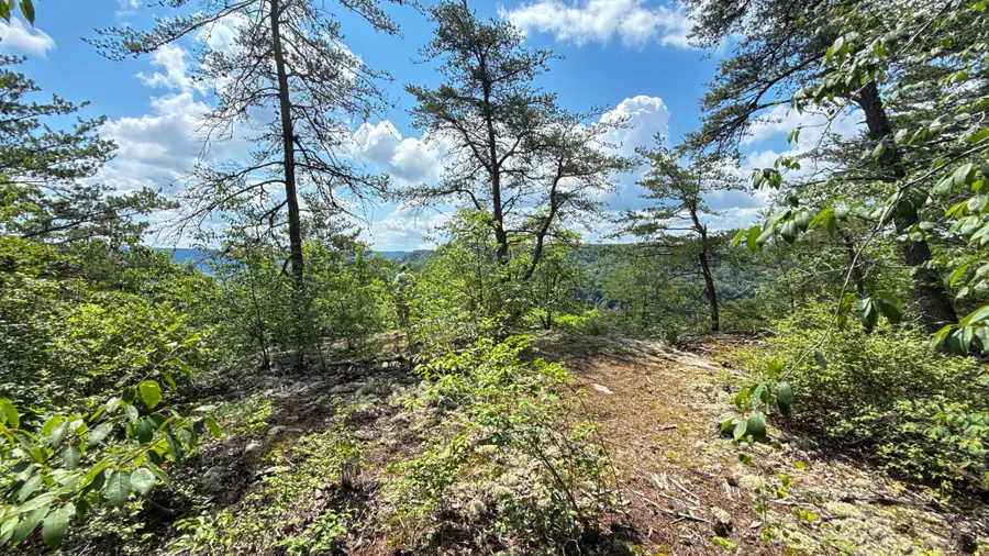 0 Flat Rock Rd, Jamestown, TN 38556 - #2