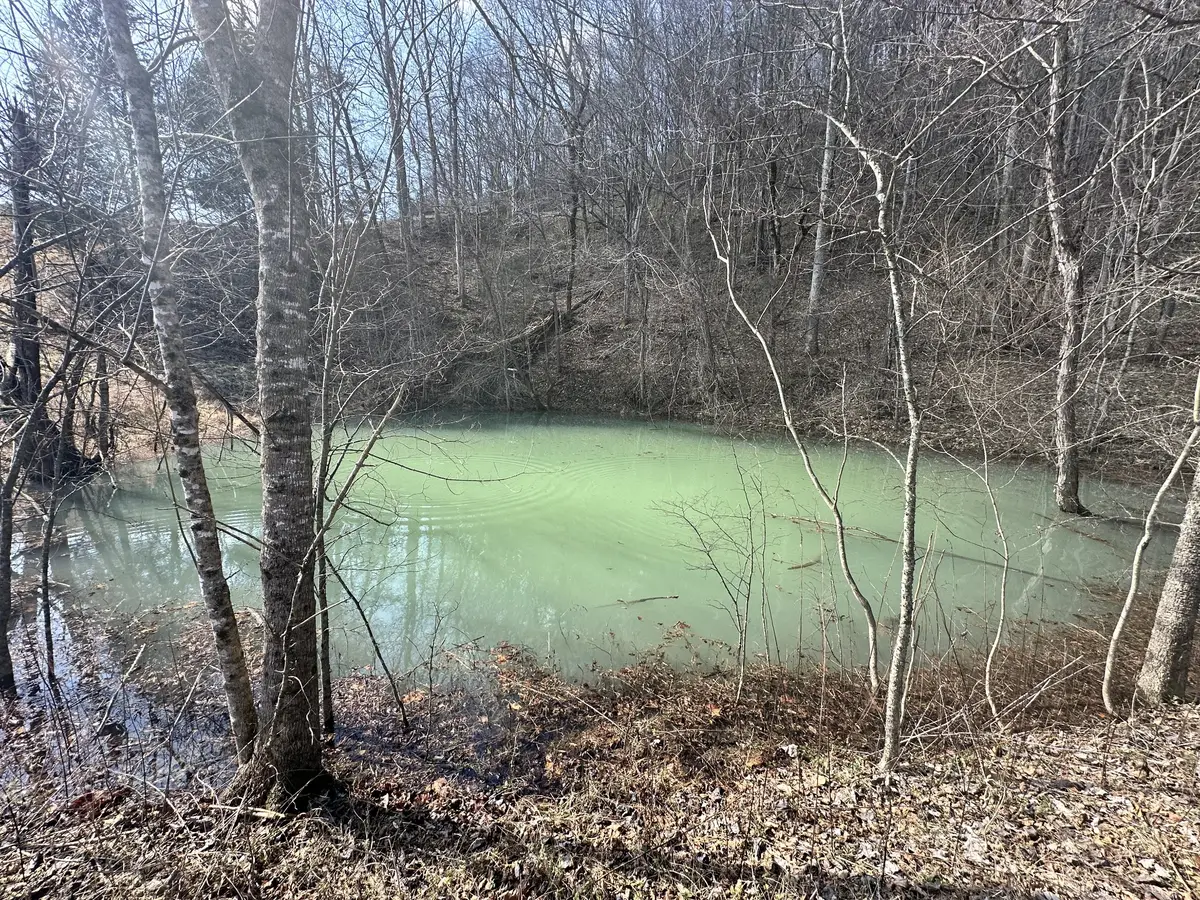 0 Little Creek Rd, Pleasant Shade, TN 37145 - #1