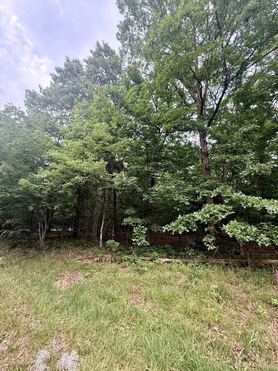 0 Deep Woods Road, Sewanee, TN 37375 - #3