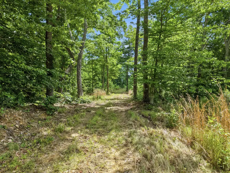 0 Backbone Road, Sparta, TN 38583 - #3