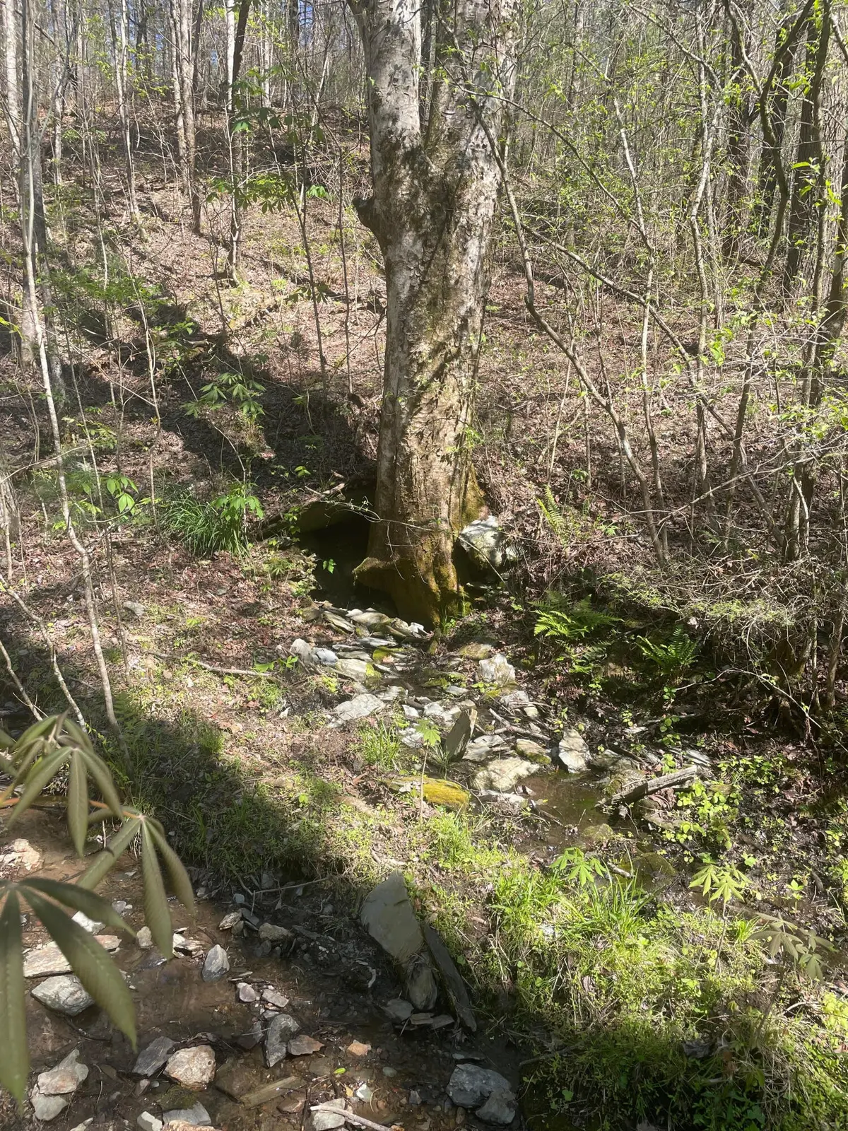 1 Old Furnace Rd, Tellico Plains, TN 37385 - #1