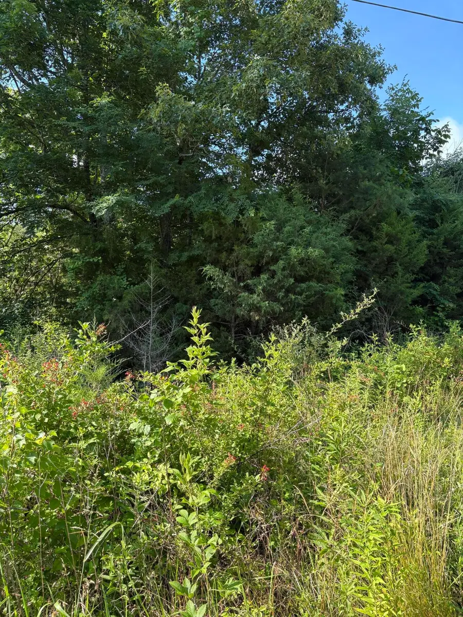 1 Old Furnace Rd, Tellico Plains, TN 37385 - #2