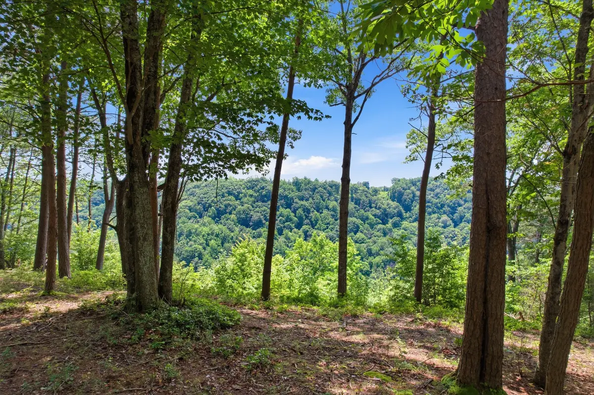 321 Timberwood Trce, Monteagle, TN 37356 - #1